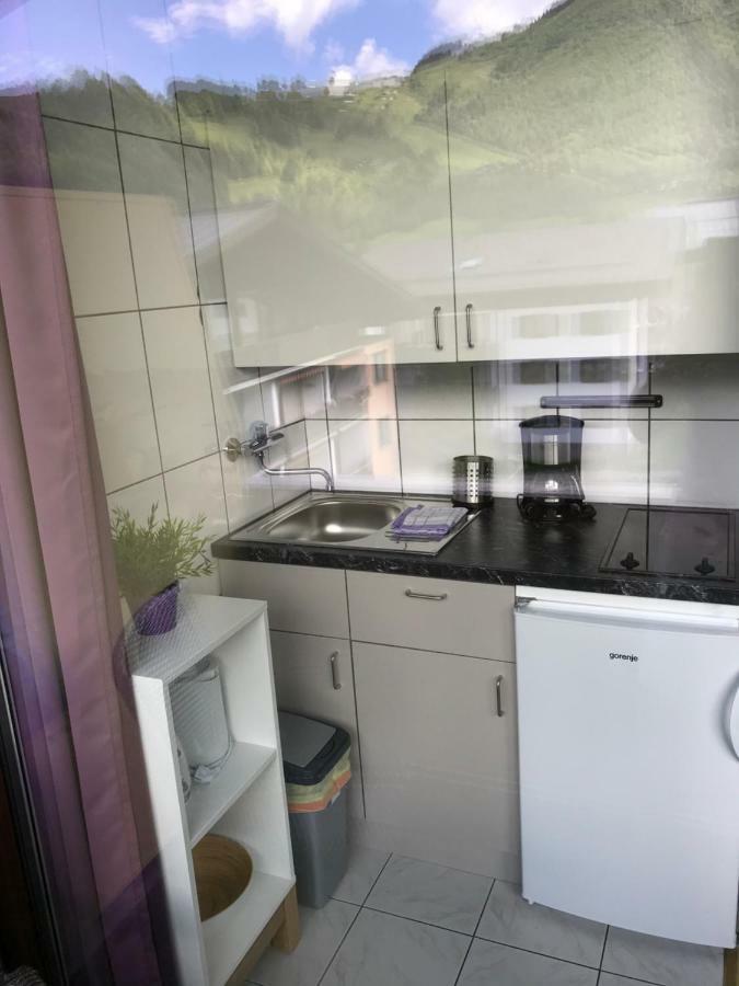 Apartament Summit Studio Kaprun
